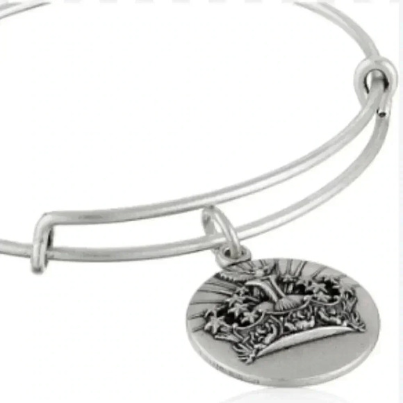 Lot of 2 Alex and Ani/statement skull bohemian casual stylish trendy bracelet OS - Picture 1 of 3
